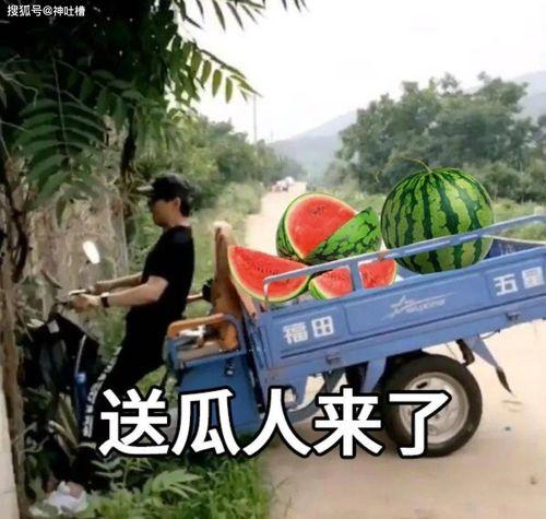 今日最新吃瓜视频,今日热门吃瓜视频大揭秘！