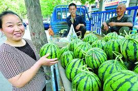 海南今日瓜价,新鲜上市，价格亲民
