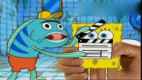 海绵宝宝明星网红叫什么,揭秘网络红人“海绵宝宝”的成名之路