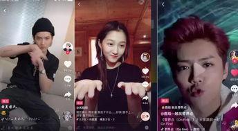 明星网红视频作品有哪些,潮流风向标下的视觉盛宴