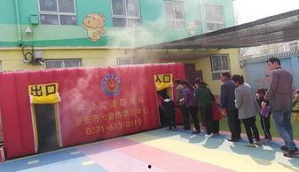 明星网中牟县韩寺镇硒砂瓜今日最新价格,今日最新价格揭晓，品质之选备受瞩目”