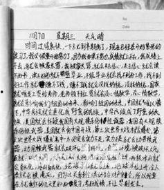 最喜欢的明星网红作文,我最爱的明星网红风采录