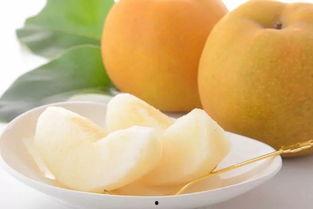 金玉蜜瓜今日价格,价格行情一览”