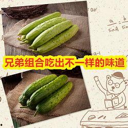 今日小瓜多少钱一斤,行情波动，一斤多少钱？