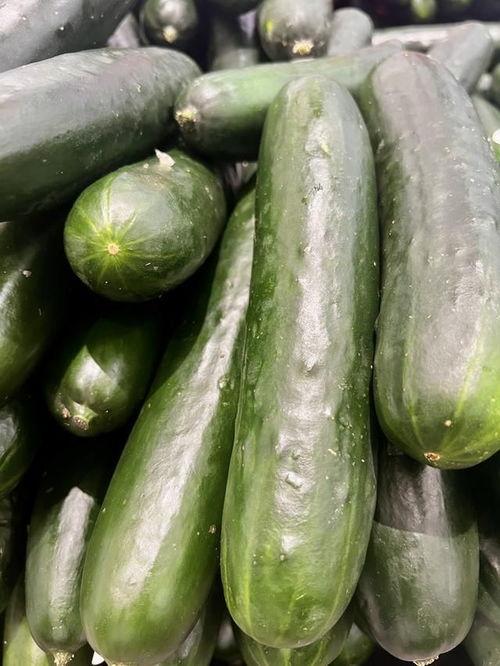 今日小瓜多少钱一斤,行情波动，一斤多少钱？