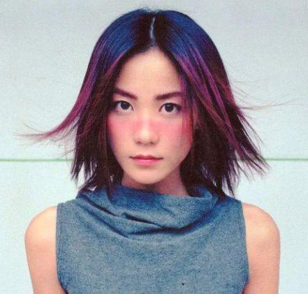 各地明星网红有哪些名字,璀璨名字盘点