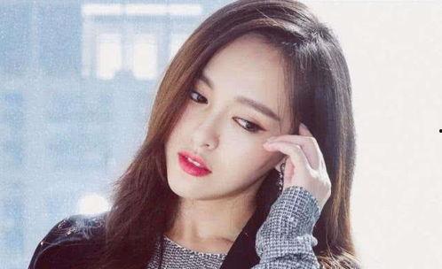 义乌有哪些明星网红的,星光熠熠的电商之城风采