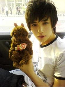 明星网红区别对比图表,全方位对比解析