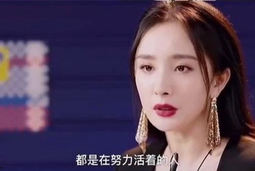 明星网红的话题有哪些,时尚潮流、情感纠葛、商业合作全解析