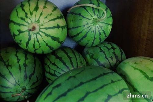 鼎信麒麟瓜今日价格,价格行情一览”