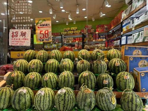 鼎信麒麟瓜今日价格,价格行情一览”