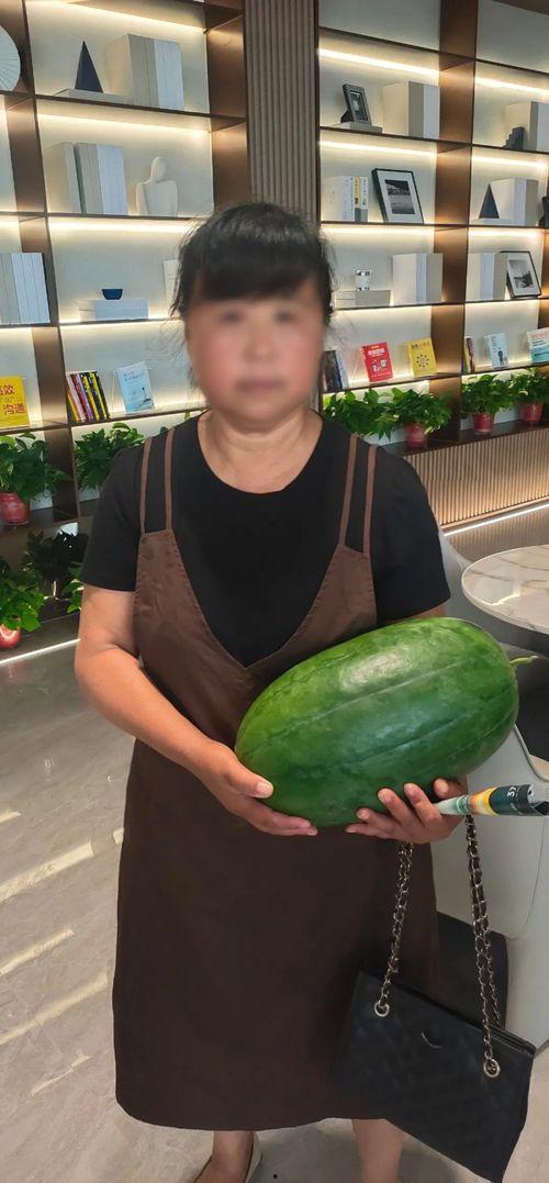 每日大瓜今日,揭秘娱乐圈最新热点事件