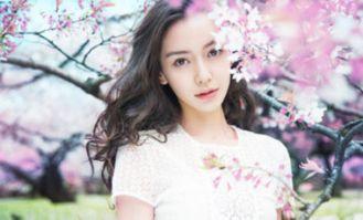 明星网红打造方法是什么,全方位攻略解析