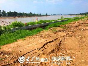 寿光田马镇哈密瓜行情今日行情,今日价格走势分析”