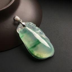 绿花福瓜今日行情,价格波动与市场趋势分析