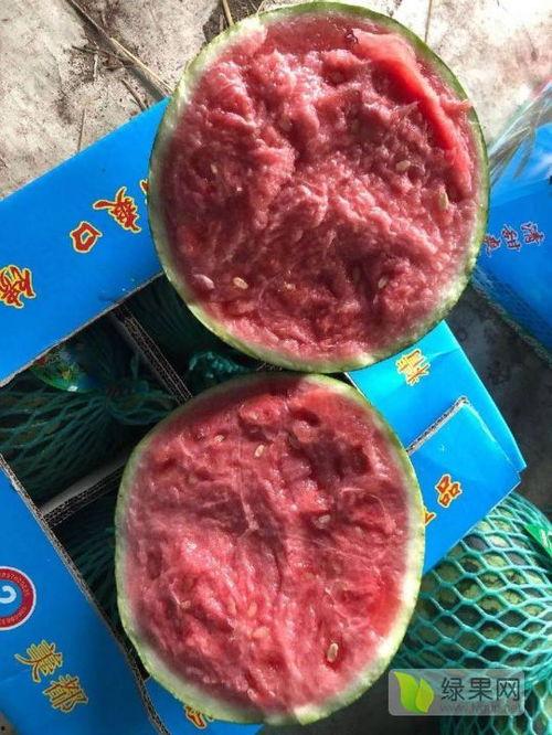 云南麒麟瓜产地今日行情