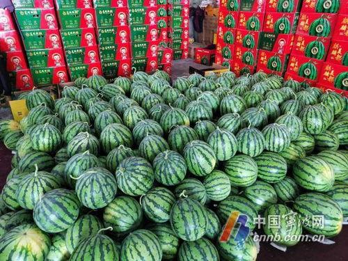 今日大瓜51吃瓜在线,揭秘今日大瓜，带你领略娱乐圈风云变幻